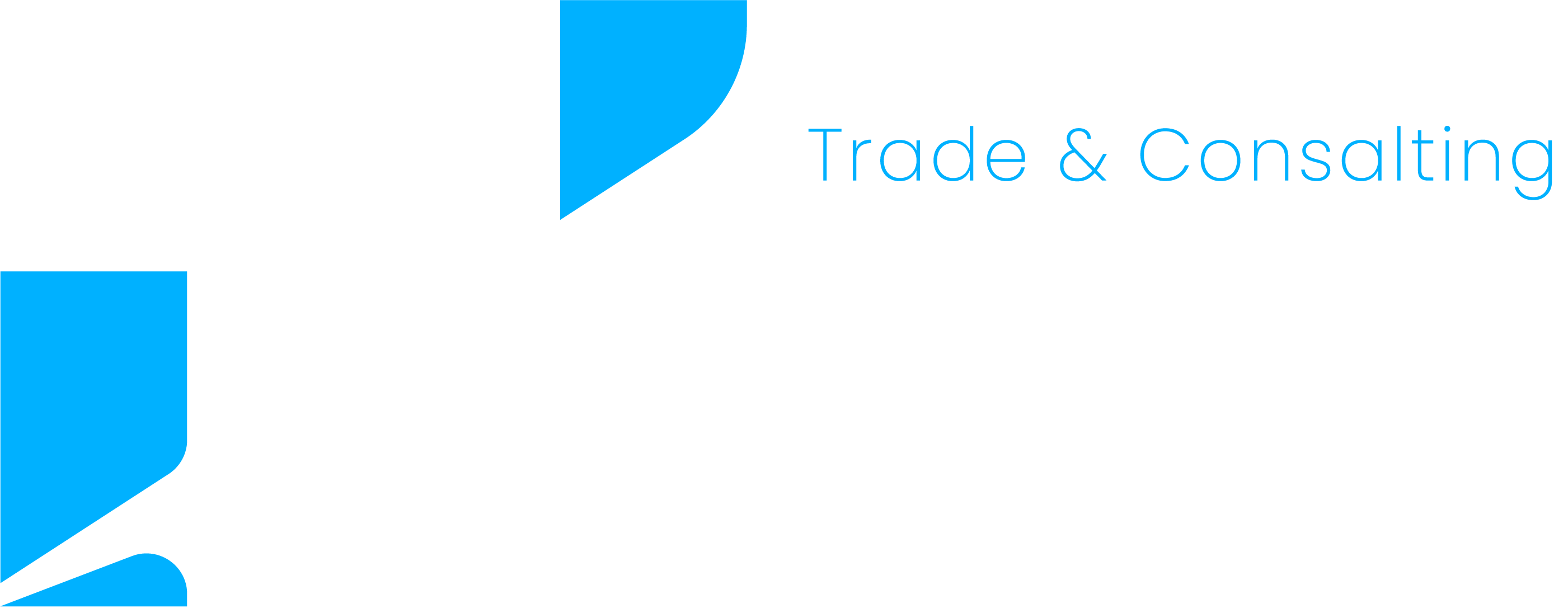 ARS Consulting&Trade